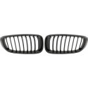 BMW 3-Serie F34 13+ Enkelribbad Blanksvart Sportgrill / Njurar DIEDERICHS