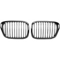 BMW 5-Serie E39 95-03 Blanksvart Sportgrill / Njurar Performance-Look DIEDERICHS