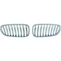 BMW Z4 E85 03-09 Enkelribbad Kromad Sportgrill / Njurar DIEDERICHS