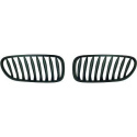 BMW Z4 E85 03-09 Enkelribbad Svart Sportgrill / Njurar DIEDERICHS
