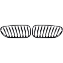 BMW Z4 E85 03-09 Enkelribbad Blanksvart Sportgrill / Njurar Performance-Look DIEDERICHS
