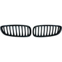 BMW Z4 E89 09+ Enkelribbad Svart Sportgrill / Njurar DIEDERICHS