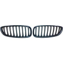 BMW Z4 E89 09+ Enkelribbad Kolfiberlook Sportgrill / Njurar DIEDERICHS