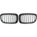 BMW 1-Serie F20 11-15 Enkelribbad Kolfiberlook Sportgrill / Njurar Performance-Look DIEDERICHS