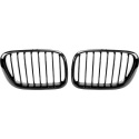 BMW X5 E53 99-03 Enkelribbad Blanksvart Sportgrill / Njurar Performance-Look DIEDERICHS