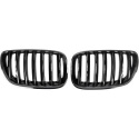 BMW X5 E53 03-07 Enkelribbad Blanksvart Sportgrill / Njurar Performance-Look DIEDERICHS
