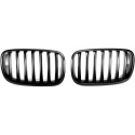 BMW X5/X6 E70 07-13 Enkelribbad Mattsvart Sportgrill / Njurar DIEDERICHS