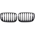 BMW X5/X6 E70 07-13 Enkelribbad Blanksvart Sportgrill Performance-Look DIEDERICHS