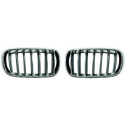 BMW X5/X6 F15/F16 13-19 Enkelribbad Kromad Sportgrill DIEDERICHS