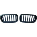 BMW X5/X6 F15/F16 13-19 Enkelribbad Mattsvart Sportgrill / Njurar DIEDERICHS