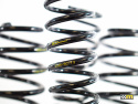 Ford Focus RS MK3 16-18 Sänkningssats 15/15mm Mountune