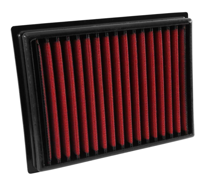 28-20409 Nissan Sentra 2.5L 2008+ DryFlow Filter AEM