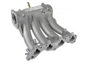 Honda D15 - D16 SOHC Pro Series Insug Skunk2