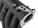 Honda D15 - D16 SOHC Black Pro Series Insug Skunk2
