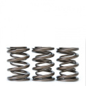 Honda B16A - B16B - B17A - B18C Motorer Eller VTEC Toppar AlphaVentilfjädrar Skunk2