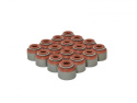 Honda Viton 5.5mm Ventiltätningar Skunk2