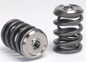 Honda K20A - K20A2 - K20Z1 - K20Z3 - K24A2 Motorer Eller i-VTEC Toppar Alpha Ventilfjäderkit Med Ti Retainers Skunk2