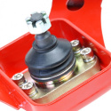 Honda Civic 1996-2000 Pro Plus Camber-Kit Skunk2