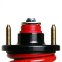 Honda Civic 1996-2000 Pro-S II Coilovers Skunk2
