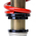 Acura RSX 2002-2004 Pro-S II Coilovers Skunk2