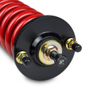 Honda Civic 1996-2000 PRO-ST Coilover Skunk2