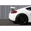 Cayman GT4 981 Vinghöjare ink. Gurney Flap APR Performance
