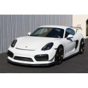 Cayman GT4 981 Vinghöjare ink. Gurney Flap APR Performance