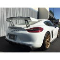 Cayman GT4 981 Vinghöjare ink. Gurney Flap APR Performance