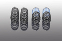 AC Schnitzer Sänkningssats BMW 5 Serie G60 520i 530i 520d 523d