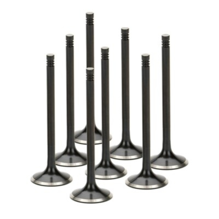 Avgasventiler Audi/VW 1.8T 5V Triple Groove Svart Nitrerade (Set om 8 st) Supertech i gruppen Välj bilmodell / VW hos DDESIGN Scandinavia AB (AEVN-1103-8)