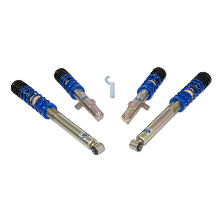 Ford Fiesta JAS, JBS 95-06 (med ögleinfästning) Höjdjusterbara Coilovers AP Suspension i gruppen Välj bilmodell / Ford / Fiesta MK6 01-08 / Chassi / Fjädring hos DDESIGN Scandinavia AB (AP-11530011)