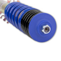 Audi A3 8L ink. Quattro, S3 / Seat Leon 1M / Skoda Octavia 1U / Volkswagen Bora 1J / Volkswagen Golf IV 1J (4cyl + 5 cyl / 4WD) Höjdjusterbara Coilovers AP Suspension