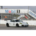 Cayman 987 06-12 GTC-300 170cm Kolfibervinge APR Performance