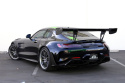 Mercedes-Benz AMG GTR Pro 2020+ GTC-500 180cm Kolfibervinge APR Performance