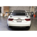 Audi S5 09-12 GT-250 170cm Kolfibervinge APR Performance