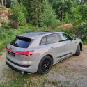 Audi E-tron S-Line 2018-2022 Sidoextensions V.1 Maxton Design
