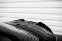 BMW Z4 M-Sport E89 LCI 2013-2018 Vingextension 3D Maxton Design