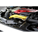 Honda Civic Type R 2017+ Kylarplåt (Center) Kolfiber APR Performance