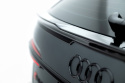 Audi RS6 C8 2019-2023 Kolfiber Vinge (Nedre) Maxton Design