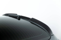 Audi RS6 C8 2019-2023 Kolfiber Vinge (Nedre) Maxton Design