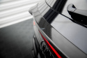 Audi RSQ8 Mk1 2019- Kolfiber Nedre Vinge / Vingextension Maxton Design