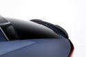 Cupra Tavascan Mk1 2023- Vingextension Maxton Design