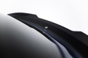 Cupra Tavascan Mk1 2023- Vingextension Maxton Design