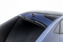 Cupra Tavascan Mk1 2023- Bakrutevinge Maxton Design