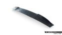 Cupra Tavascan Mk1 2023- Bakrutevinge Maxton Design
