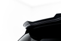 Cupra Terramar Mk1 2024- Vingextension Maxton Design
