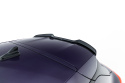 Cupra Terramar Mk1 2024- Vingextension Maxton Design
