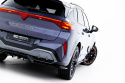 Cupra Terramar Mk1 2024- Bakre Splitter (med Splitters) V.2 Maxton Design