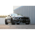 Ford Mustang Shelby GT-350 2018+ Kolfibersplitter APR Performance