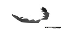 Ford Mustang Dark Horse Mk7 2023- Front Flaps Flaps Maxton Design